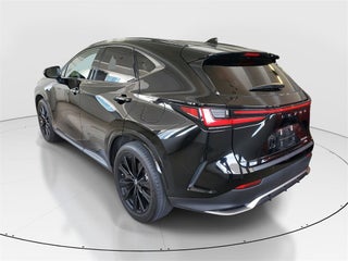 2022 Lexus NX 350 thumbnail – Miami, FL – 4