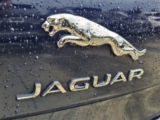 2017 Jaguar XJL thumbnail – Fort Lauderdale, FL – 10