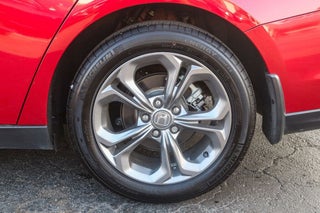 Image of 2024 Honda Accord