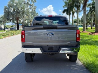 2023 Ford F-150 thumbnail – Miami, FL – 9
