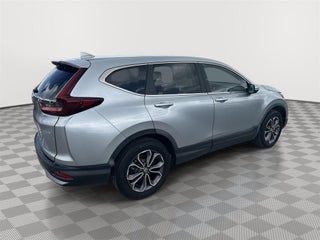 2021 Honda CR-V thumbnail – Palmetto Bay, FL – 19