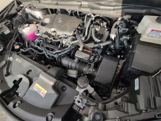 2025 Toyota Sienna thumbnail – Delray Beach, FL – 22