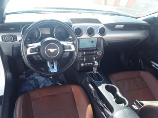 2021 Ford Mustang thumbnail – Miami, FL – 15