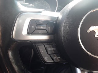 2021 Ford Mustang thumbnail – Miami, FL – 17