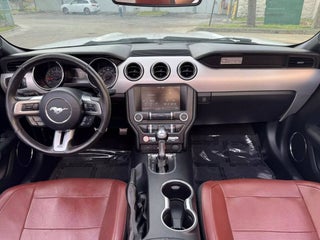 2015 Ford Mustang thumbnail – Hollywood, FL – 11