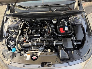 Image of 2020 Honda Accord