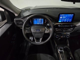 Image of 2025 Ford Escape