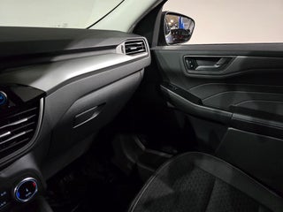 Image of 2025 Ford Escape