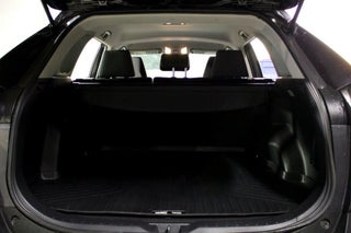 Image of 2020 Toyota RAV4