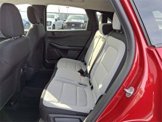 Image of 2025 Ford Escape