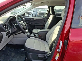 Image of 2025 Ford Escape