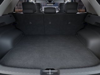 2026 Kia Niro EV
